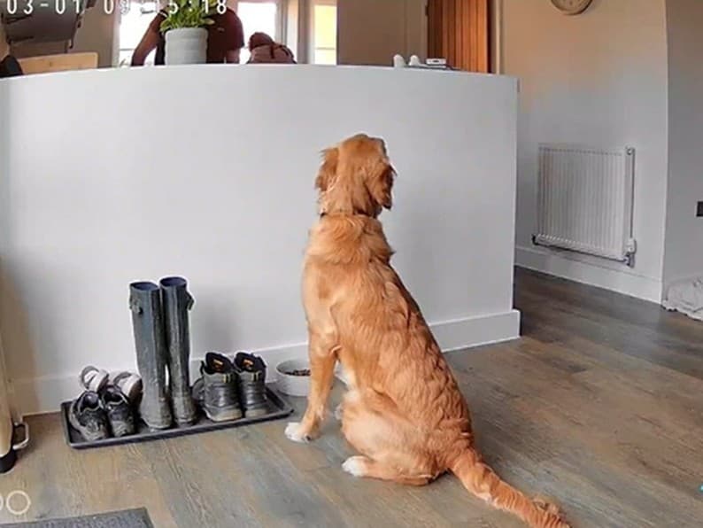 Ilustračný obrázok