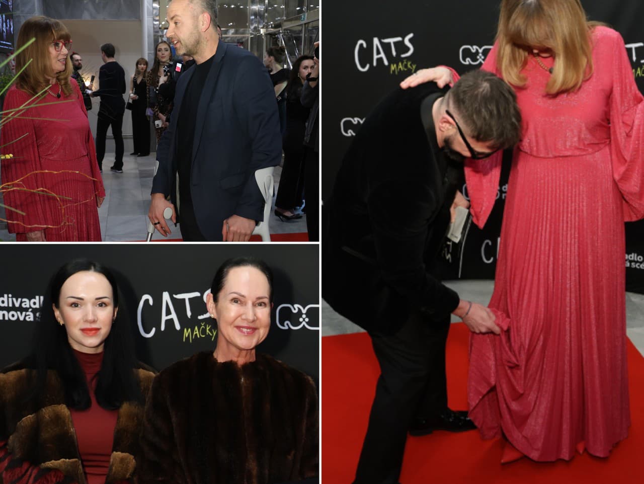 Premiéra muzikálu Mačky.