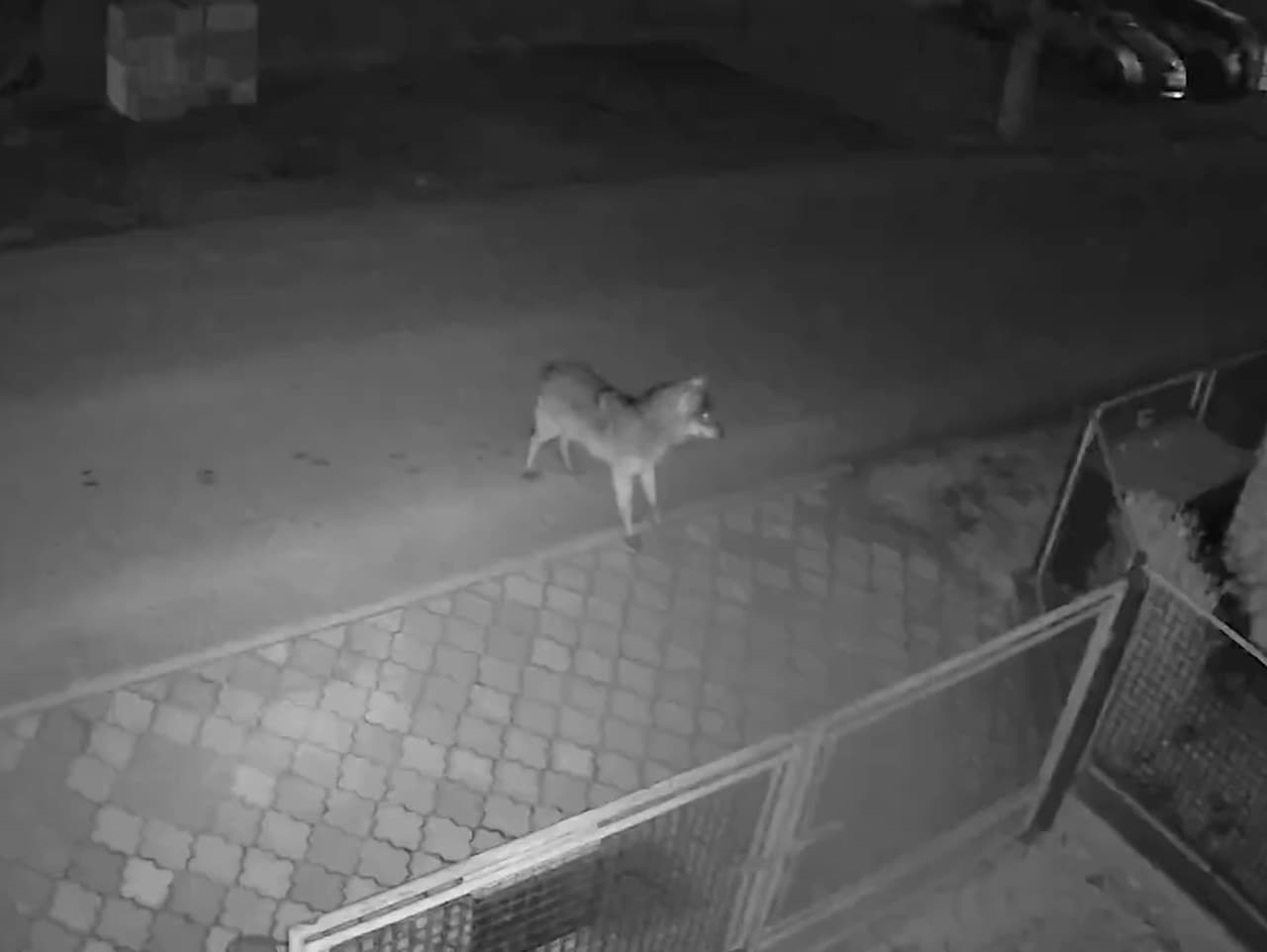 Ilustračný obrázok