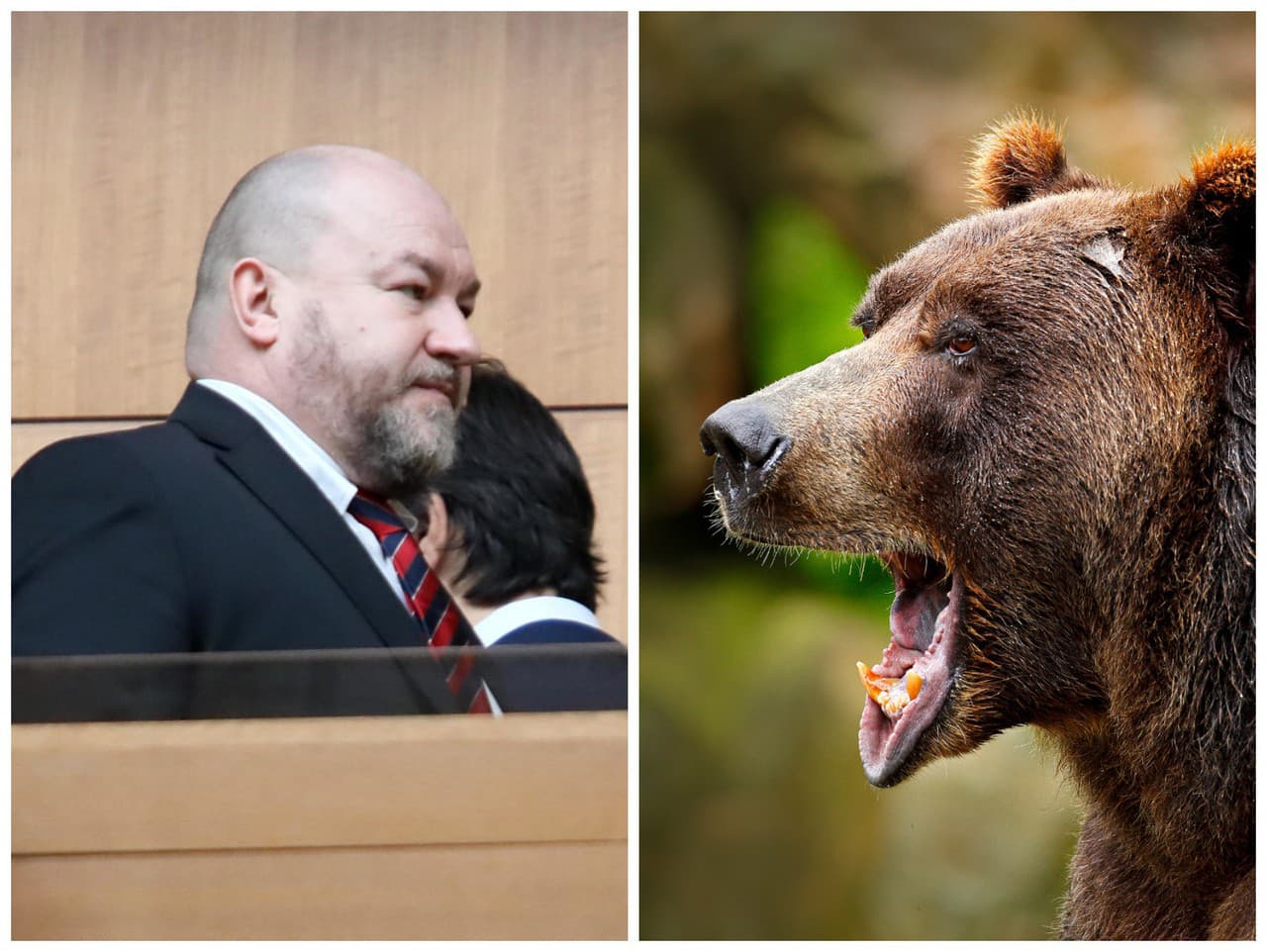 Huliak sa chválil zastrelenou medvedicou, teraz mu môže spôsobiť problémy.