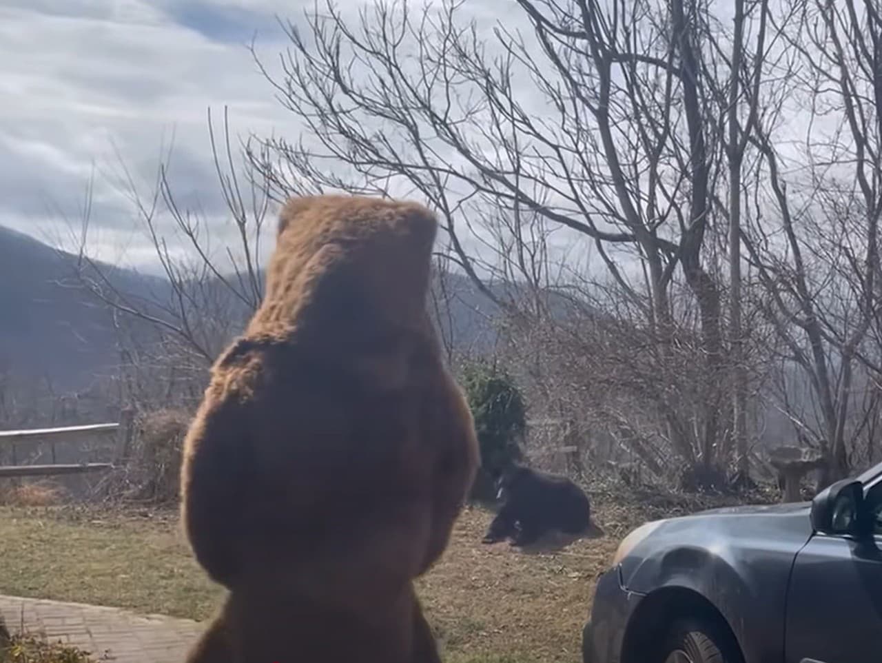 Ilustračný obrázok