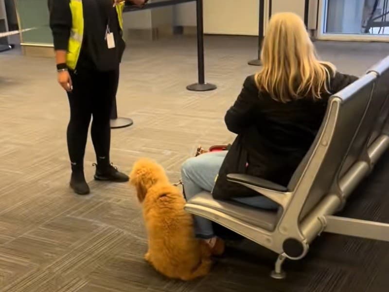 Ilustračný obrázok