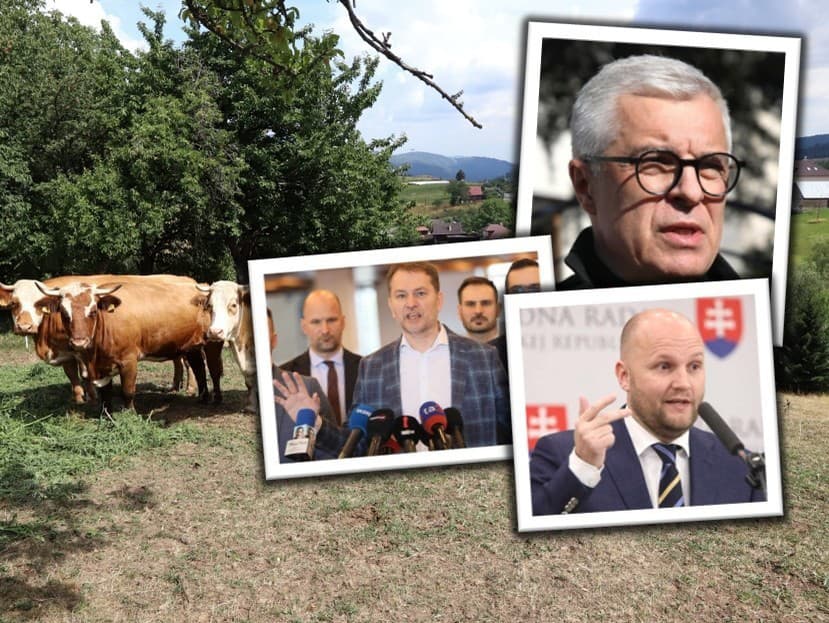 Opozícia reaguje na vládne kroky pri slintačke a krívačke.