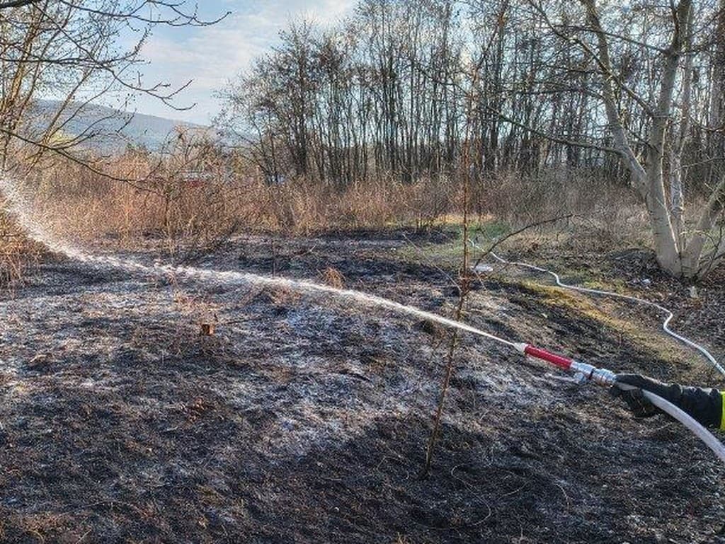 Ilustračný obrázok