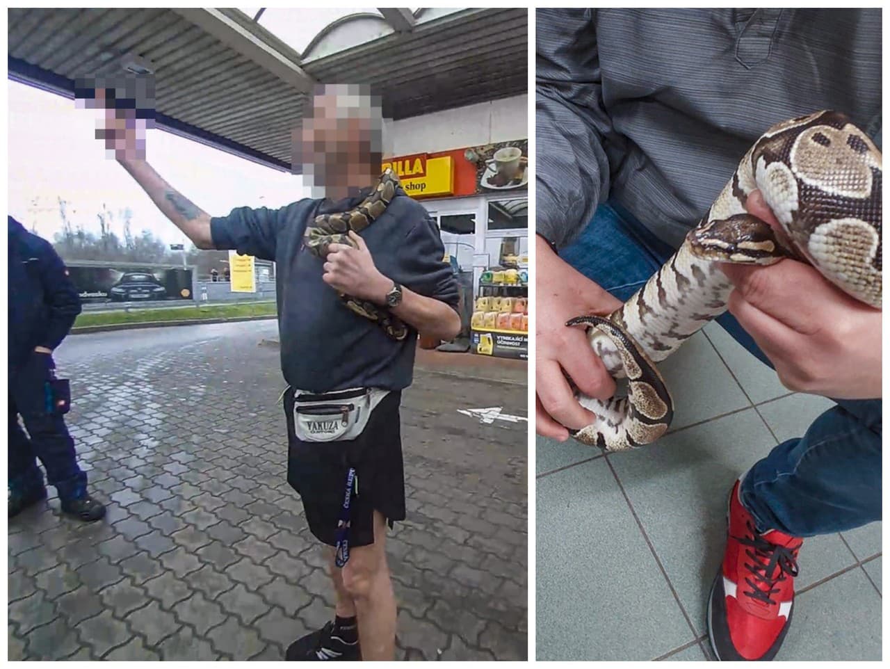 Muž boli voči policajtom vulgárny a na krku nosil hada.