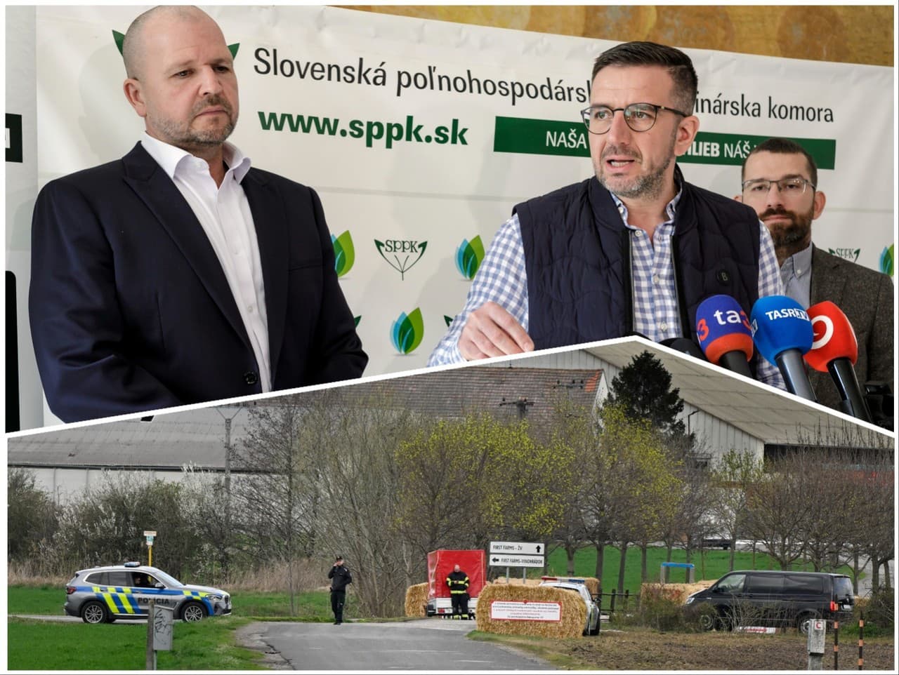 Farma v Plaveckom Štvrtku v okrese Malacky, v ktorej potvrdili výskyt slintačky a krívačky