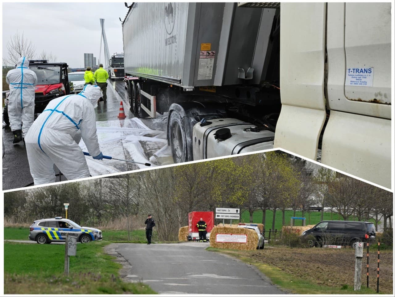 Farma v Plaveckom Štvrtku v okrese Malacky, v ktorej potvrdili výskyt slintačky a krívačky