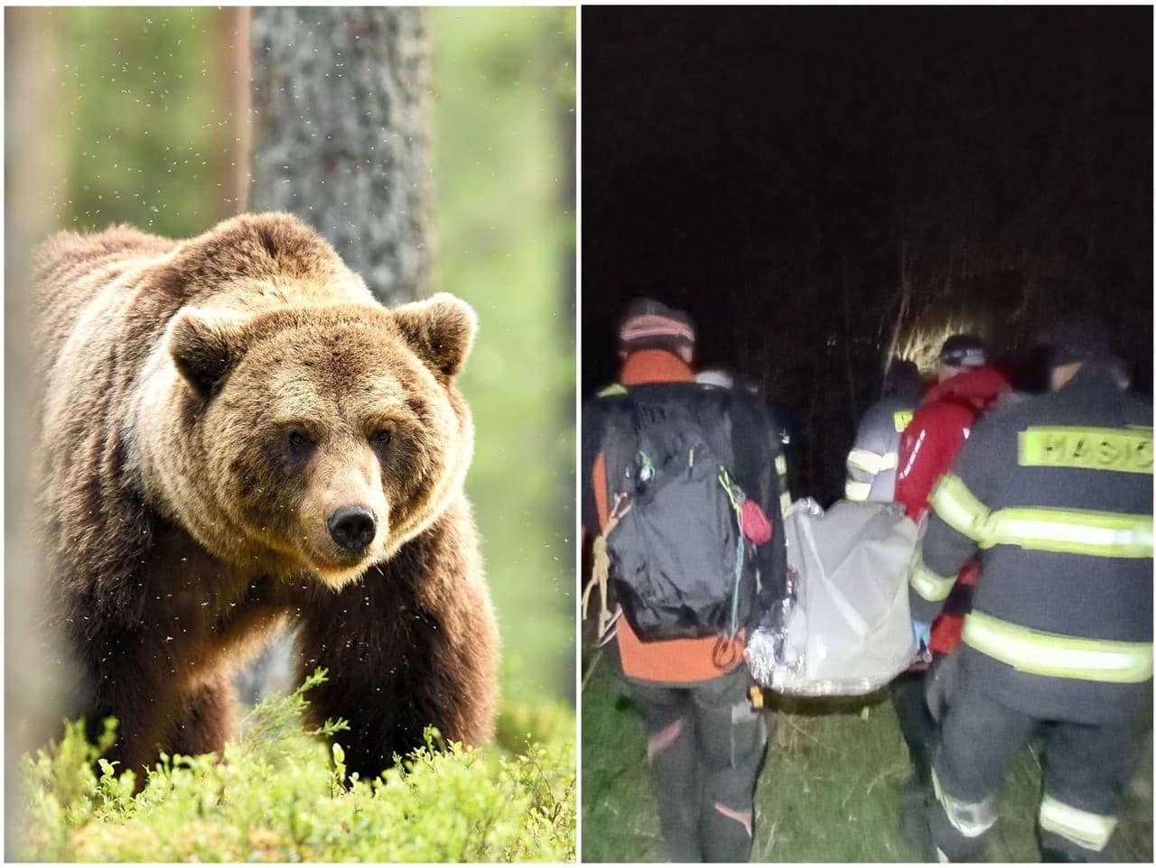 Ilustračný obrázok