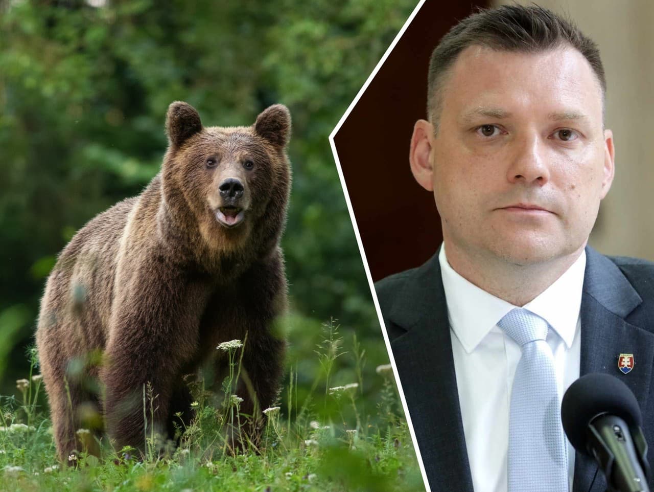 Ilustračný obrázok