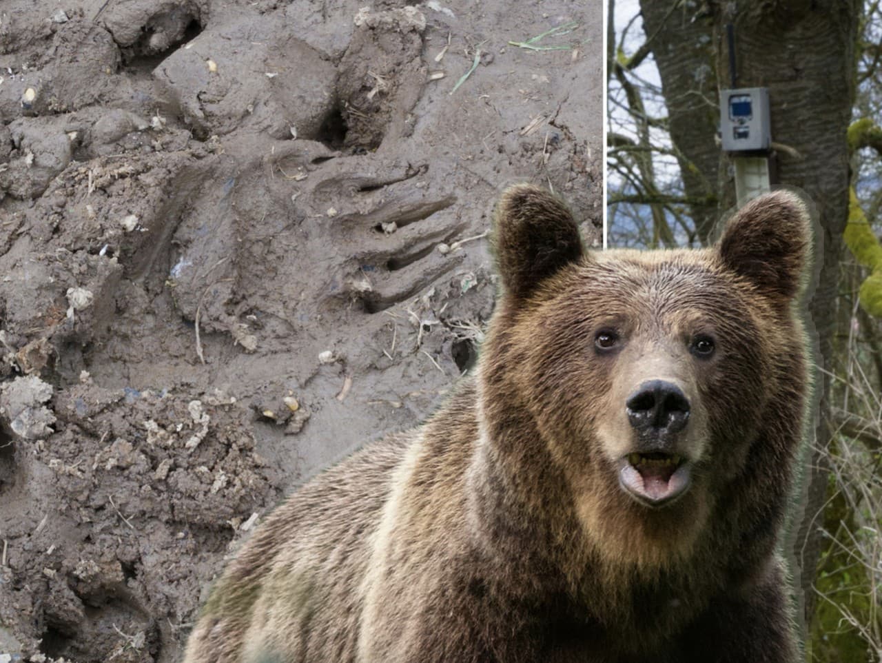 Ilustračný obrázok