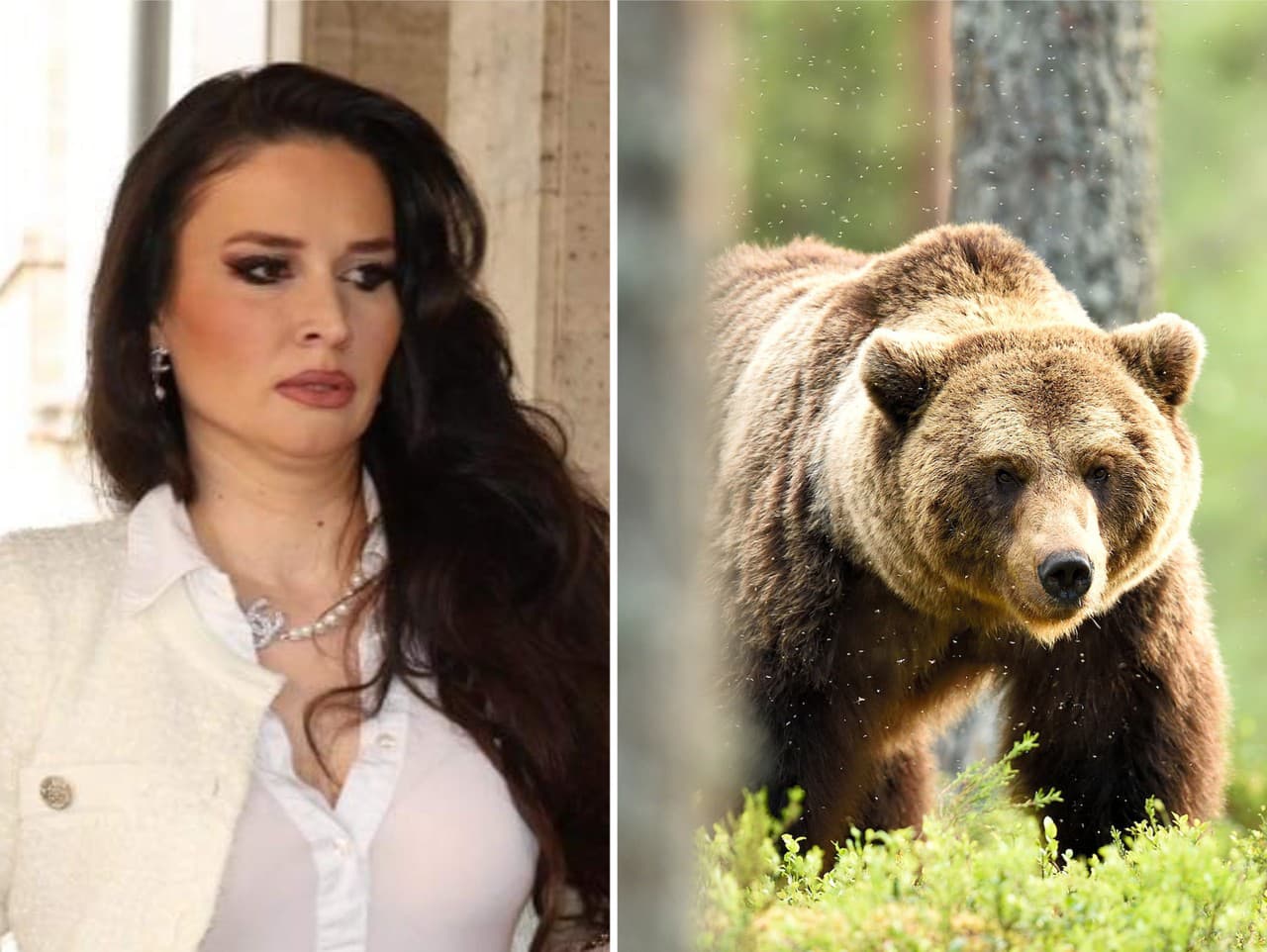 Ilustračný obrázok