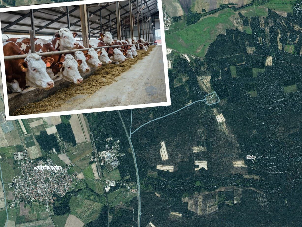 Ilustračný obrázok