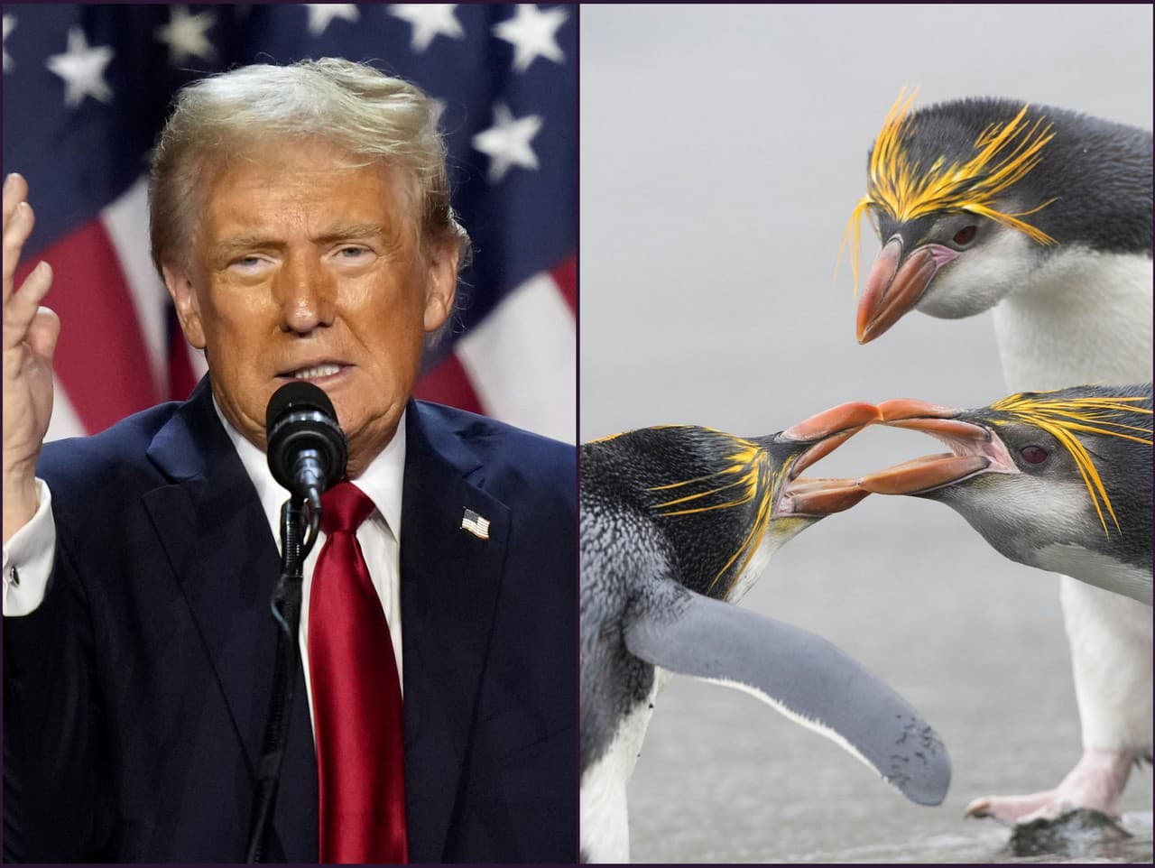 Trump uvalil clá aj na ostrovy, kde žijú len tučniaky.