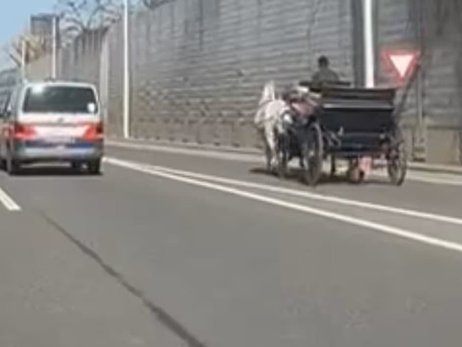 Fiakrista sa ocitol s kočom na diaľnici.