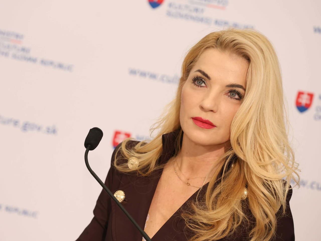 Ilustračný obrázok