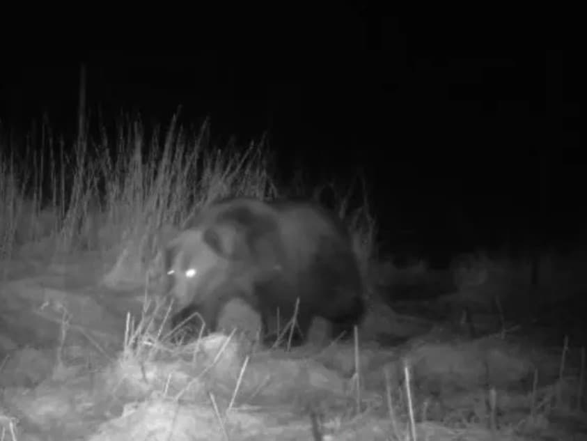 Ilustračný obrázok