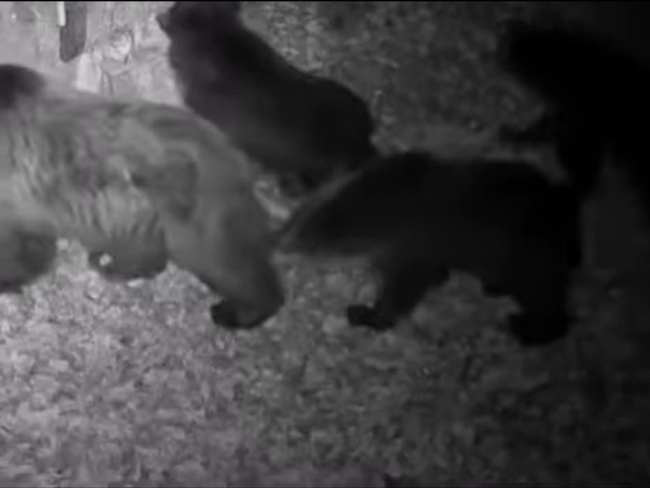 Ilustračný obrázok