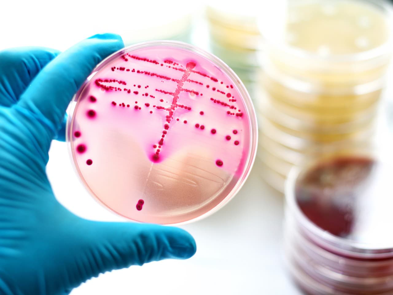 Ilustračný obrázok