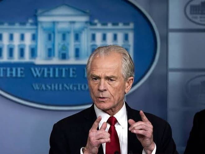 Hlavný ekonóm Bieleho domu a poradca amerického prezidenta Peter Navarro