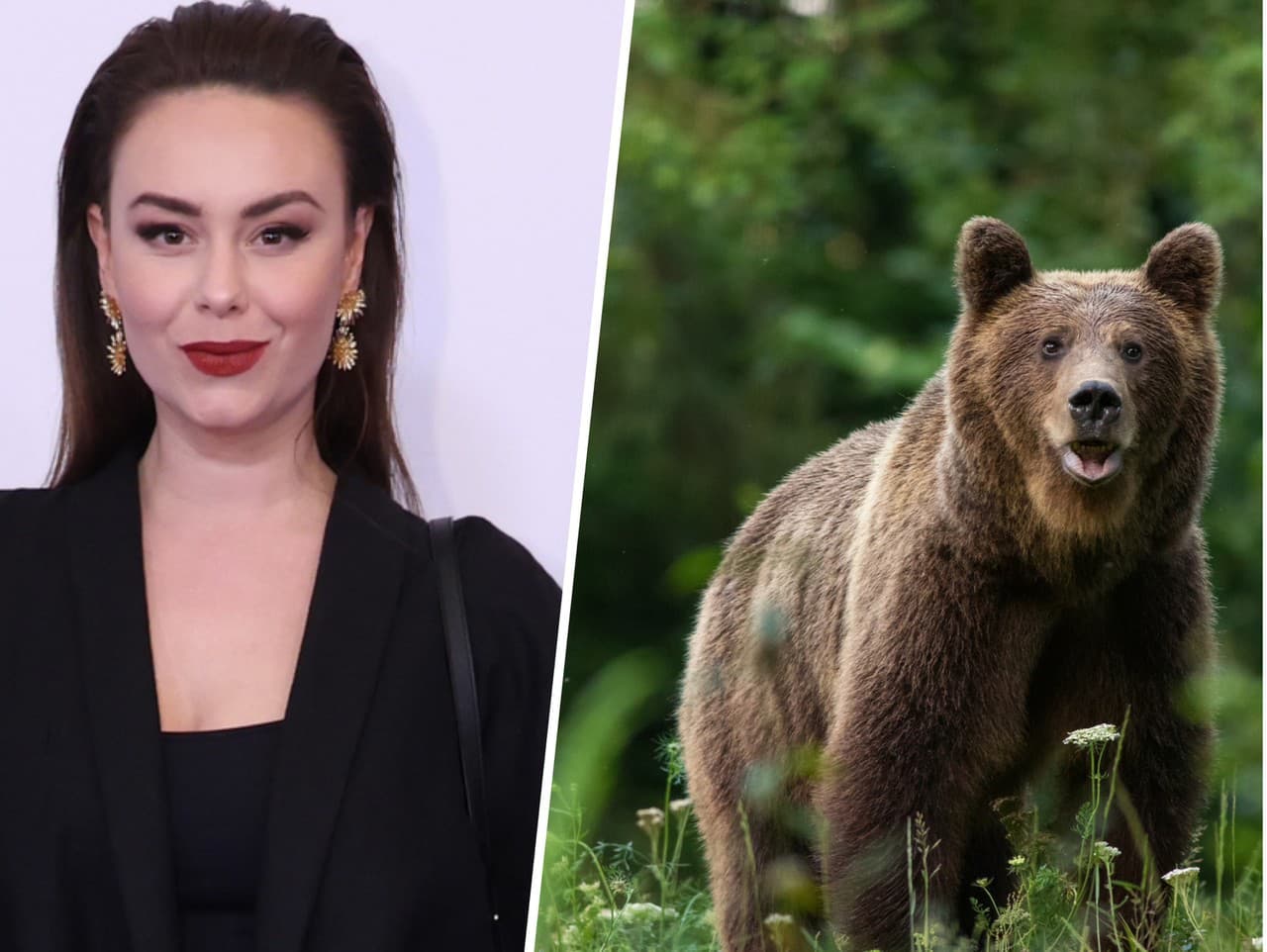 Dominika Kavaschová skritizovala odstrel medveďov