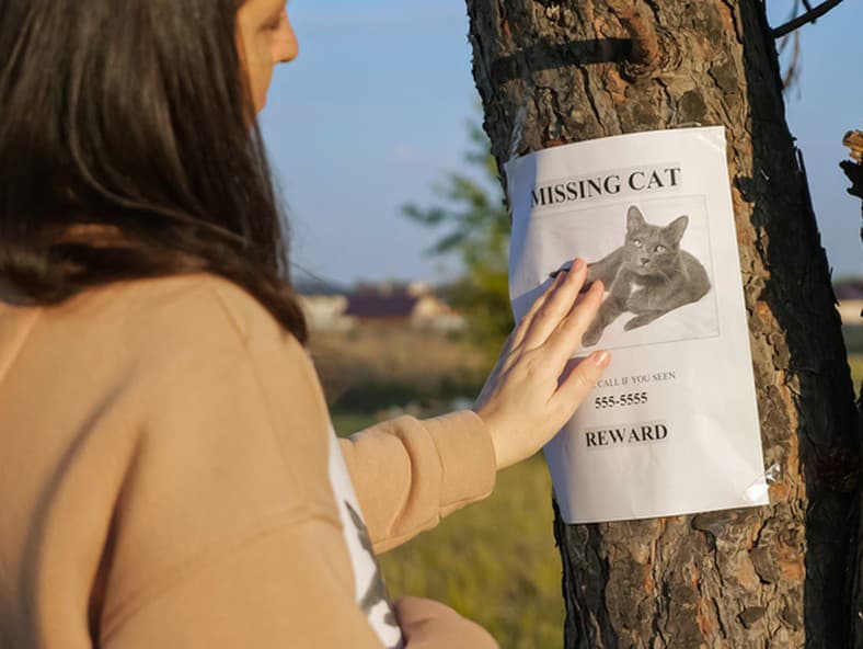 Ilustračné foto