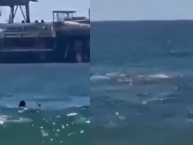 Po plavcovi na izraelskej pláži Hadera Beach ostala v mori len červená škvrna od krvi. 