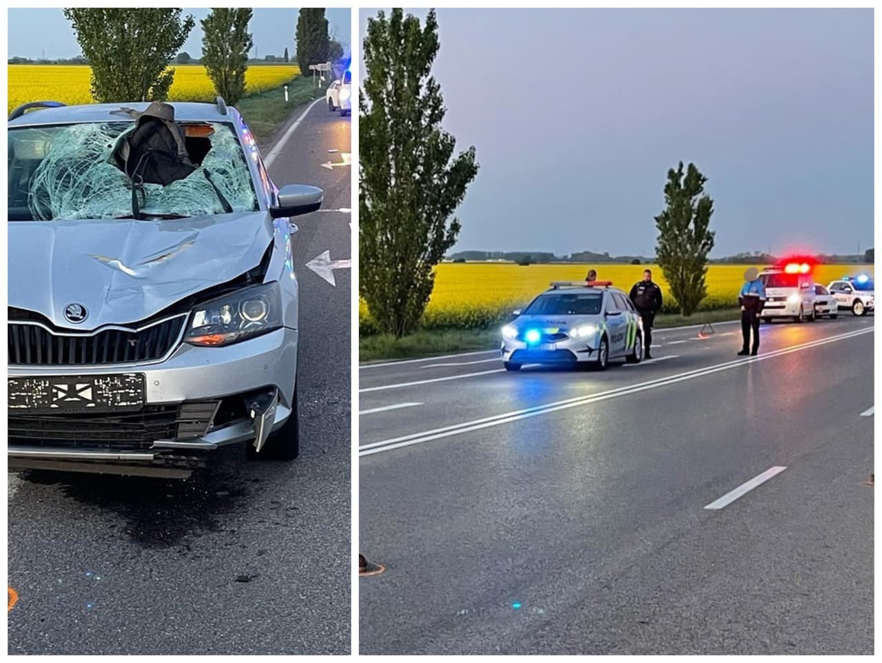 Nehoda medzi Veľkou Mačou a Sereďou stála život mladého chodca, ktorý išiel bez reflexných prvkov.