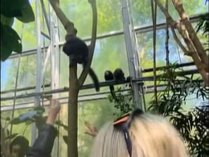 Nezodpovedné správanie návštevníkov zachytili na video