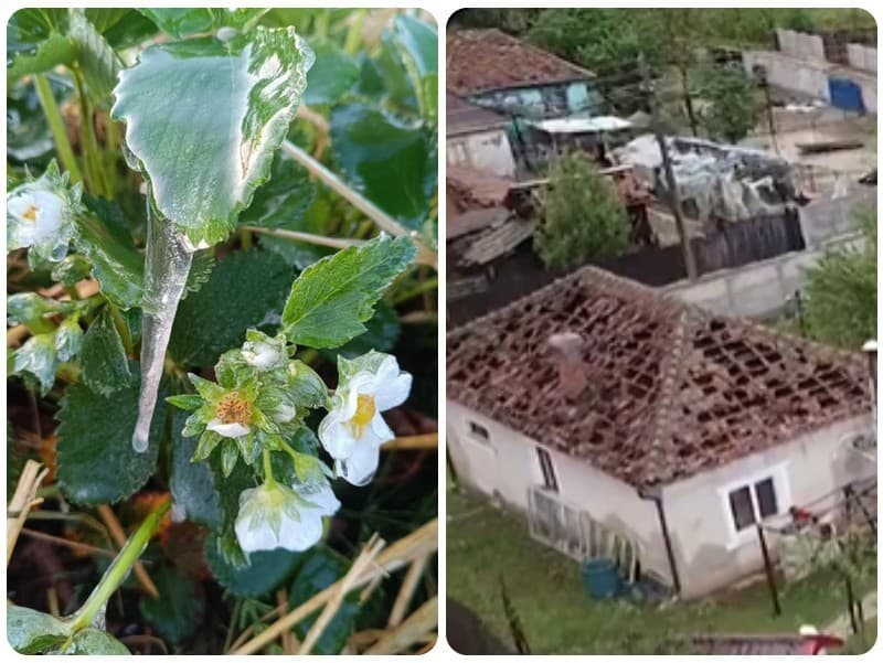 Supercely napáchali v Rumunsku škody, na Slovensku pomrzli jahody