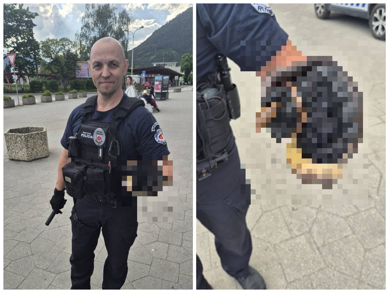 Na železničnej stanici v Ružomberku lokalizovali hada.