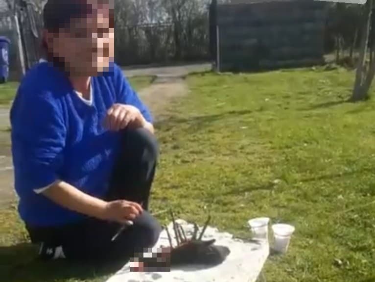 Ilustračný obrázok