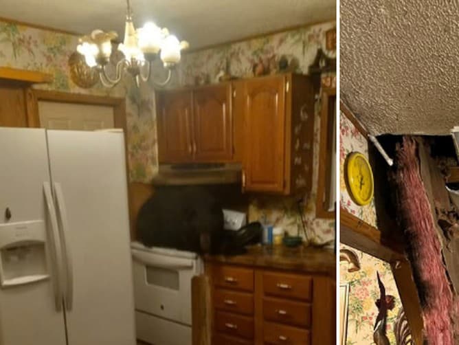 Medveď sa do domu dostal priamo cez strechu