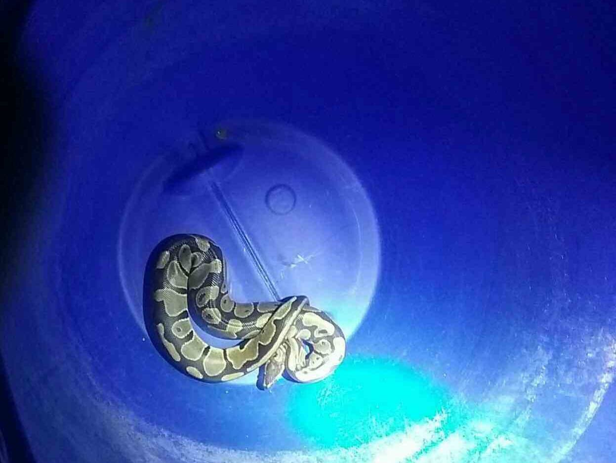 Ilustračný obrázok