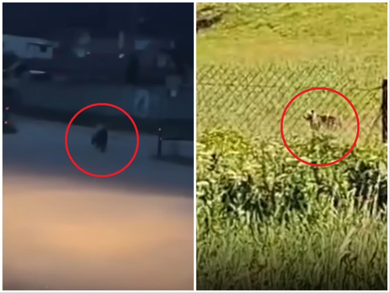 Ilustračný obrázok