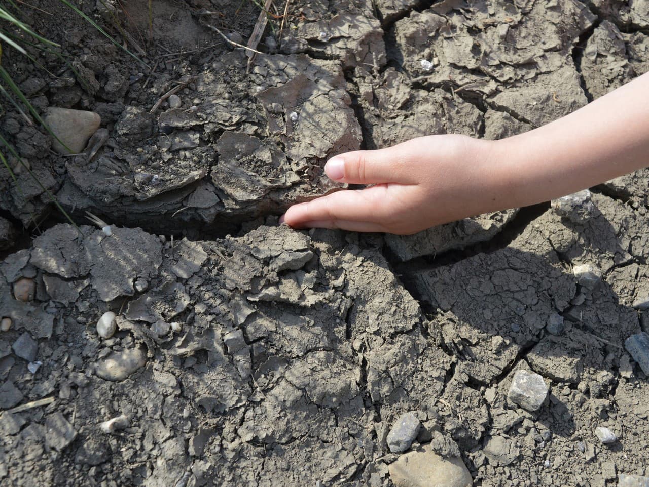 Ilustračný obrázok