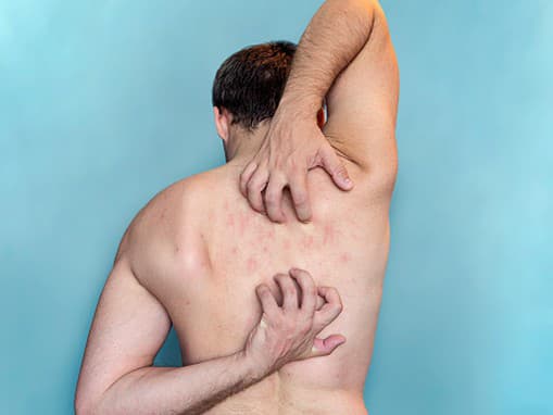 Ilustračný obrázok