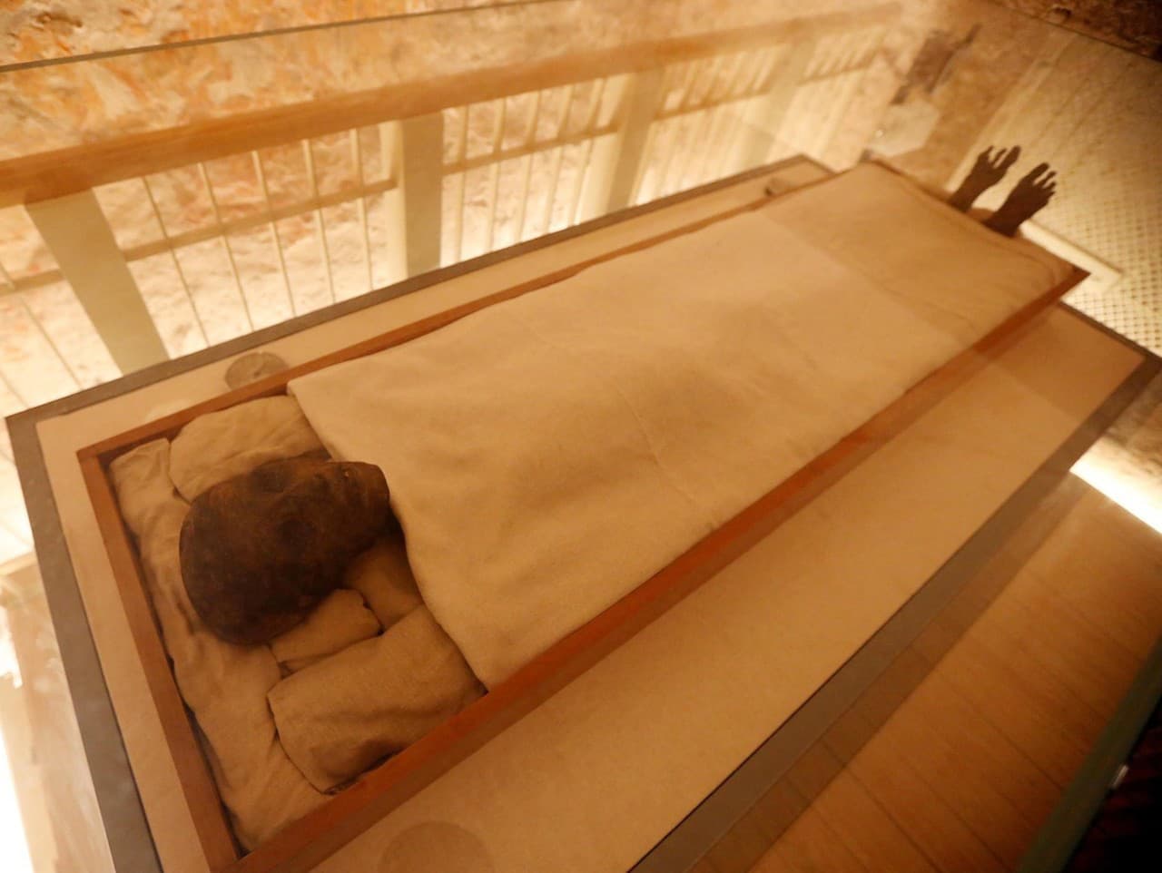 Na múmii našli liečivé plesne.