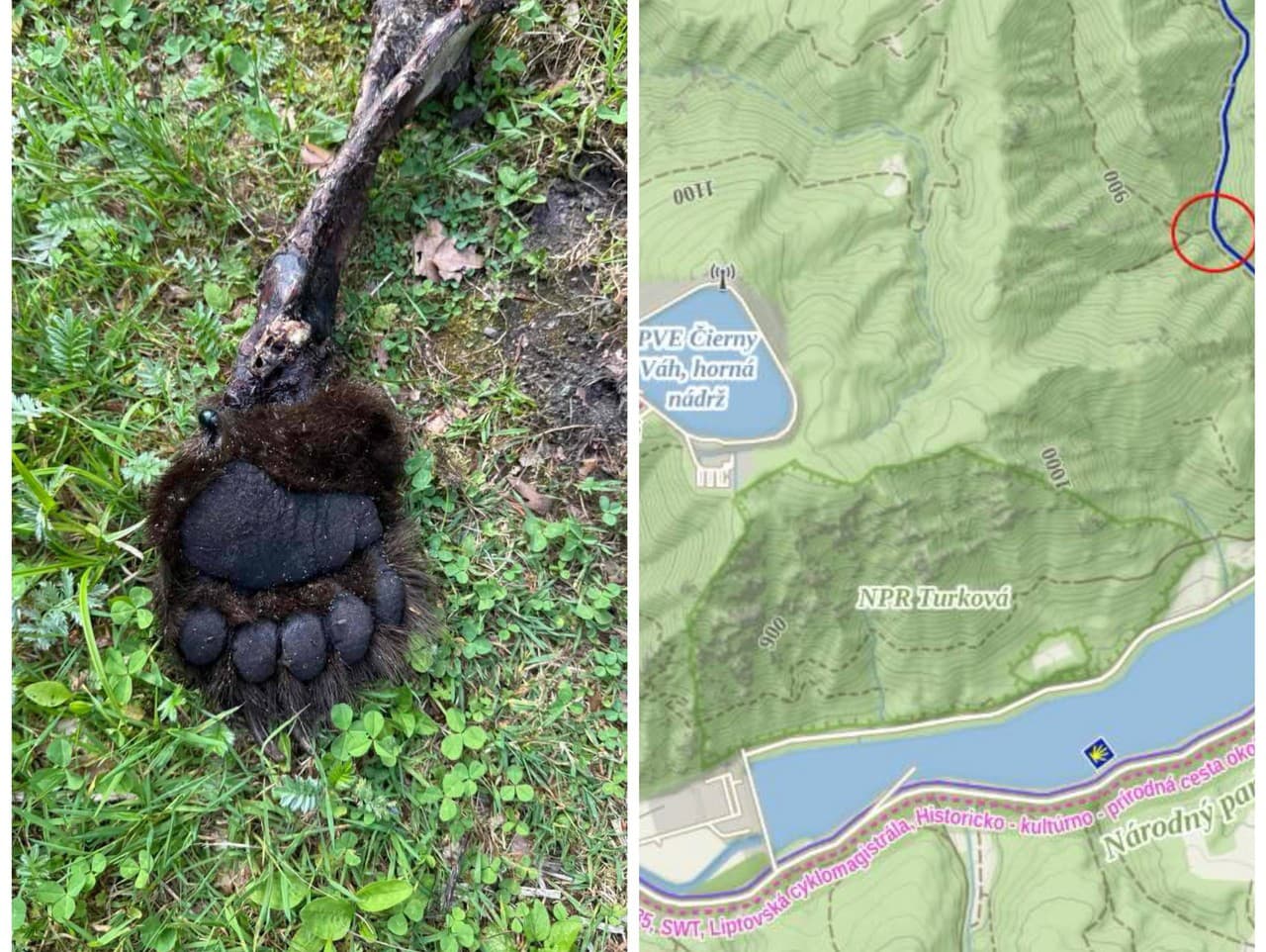 Ilustračný obrázok