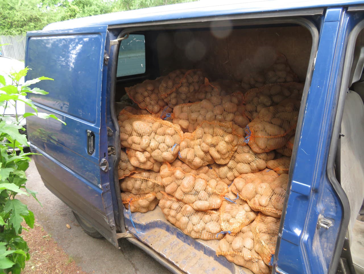 Ilustračný obrázok