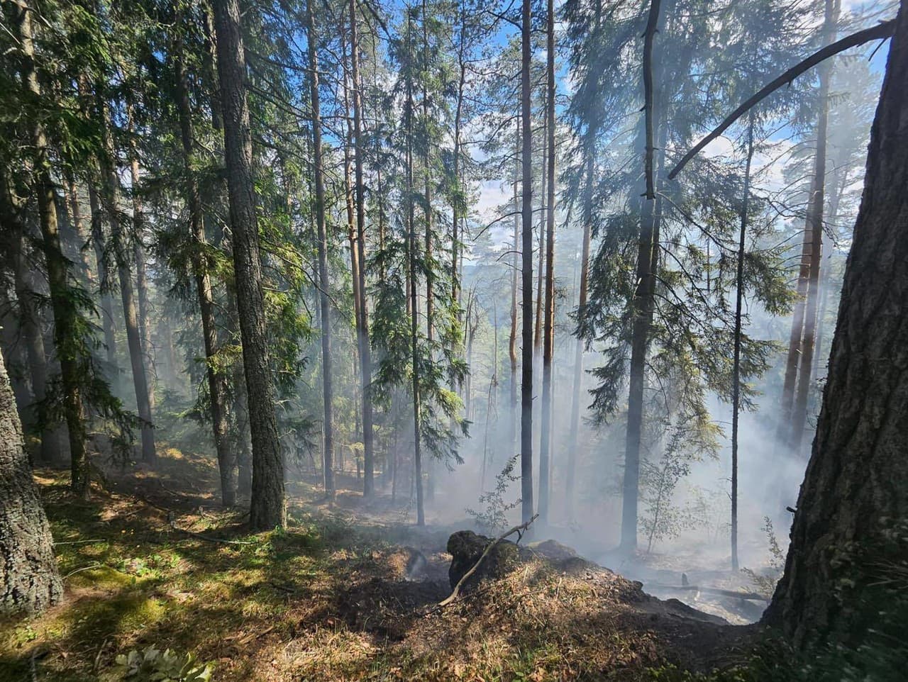 Ilustračný obrázok