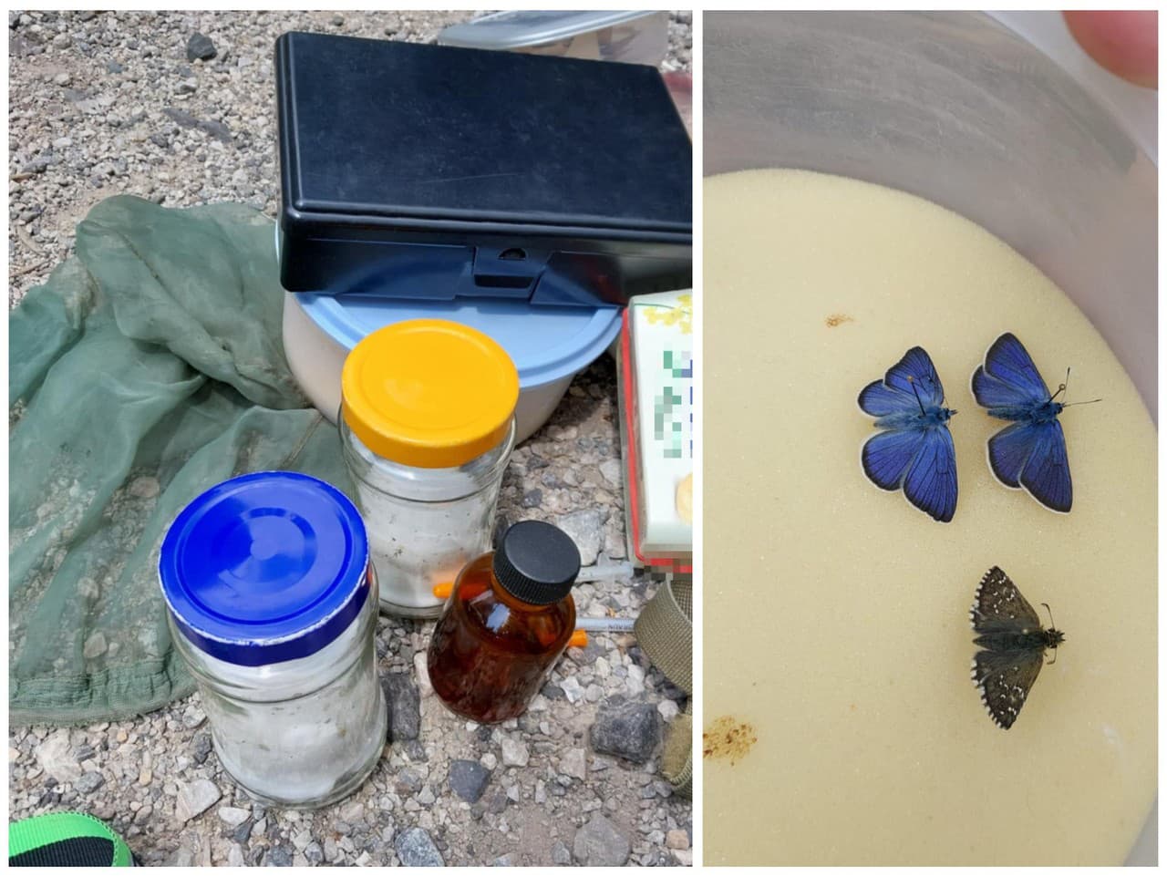 Muža prichytili priamo pri čine.