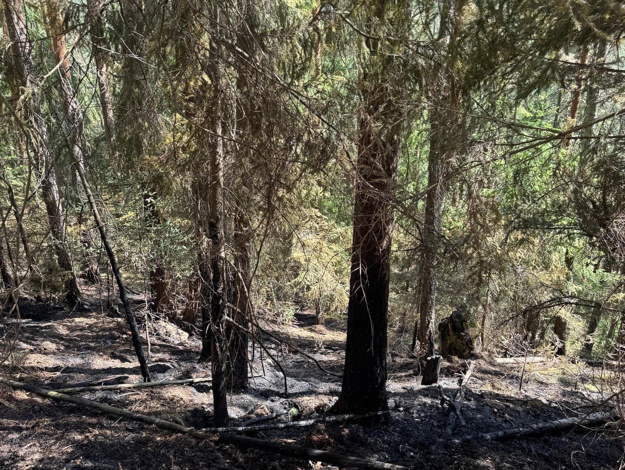 Ilustračný obrázok