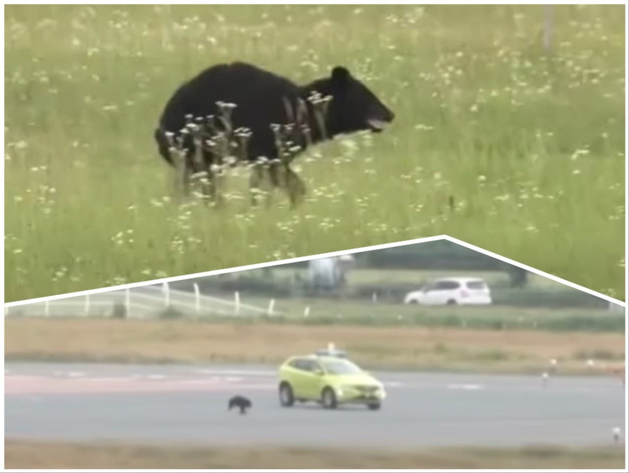 Ilustračný obrázok