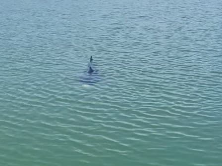 Ilustračný obrázok