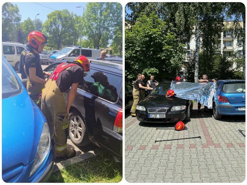 Dramatickú záchrannú akciu zverejnil útulok na sociálnej sieti