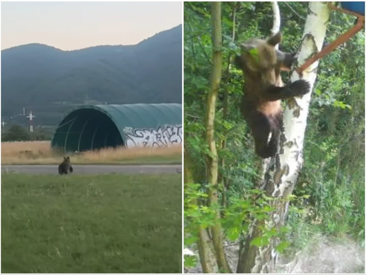 Ilustračný obrázok