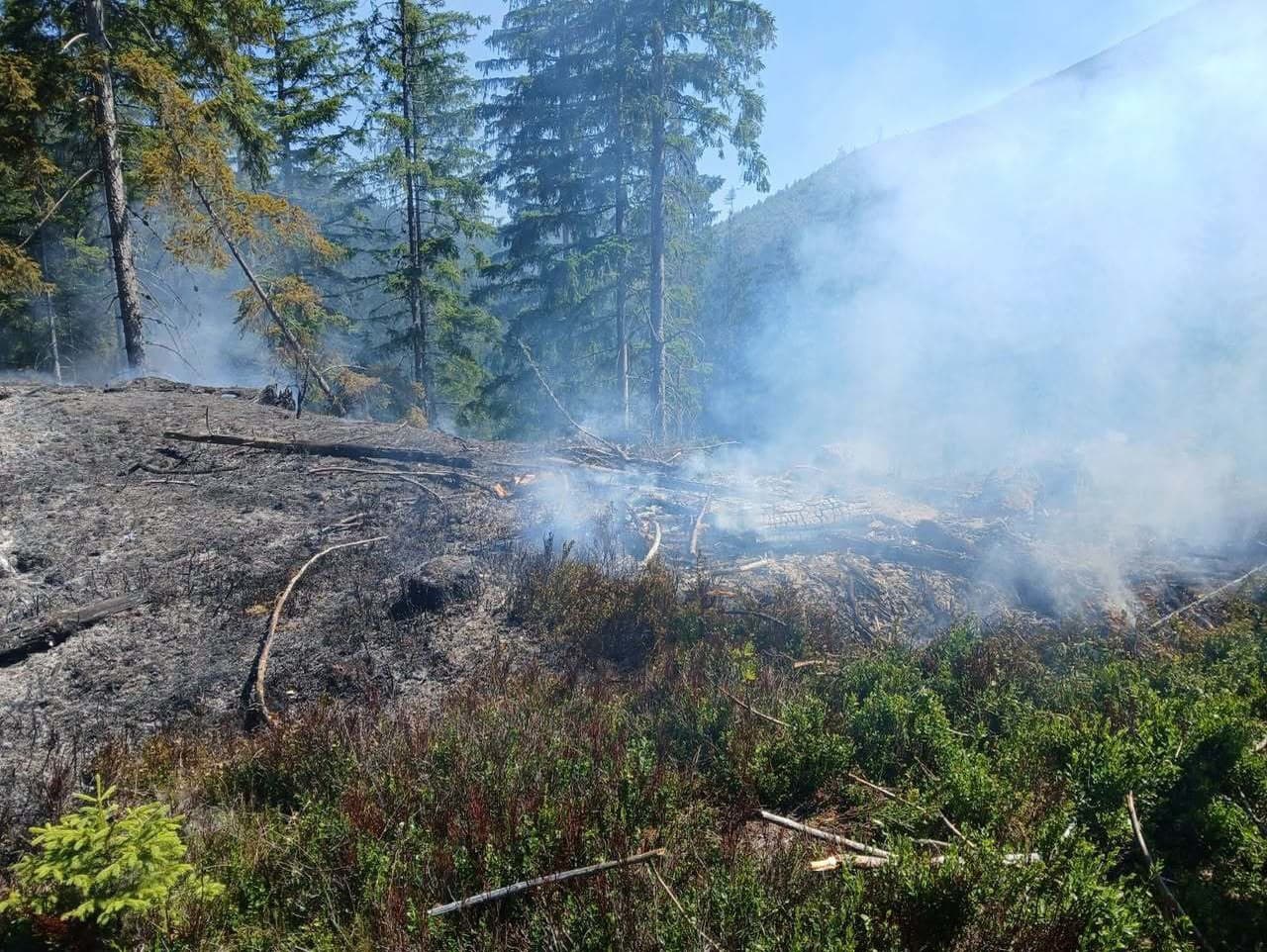 Lesný požiar v Liptovskej Lužnej