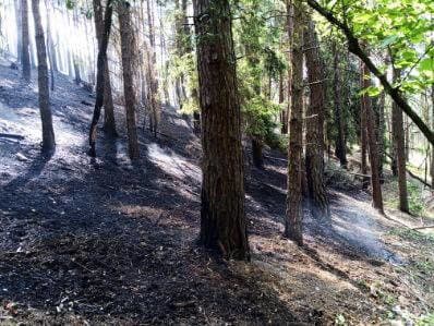 Požiar lesa v Richnave sa podarilo lokalizovať