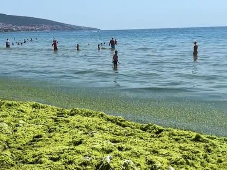 Na špinavú pláž v Bulharsku upozornila česká turistka 
