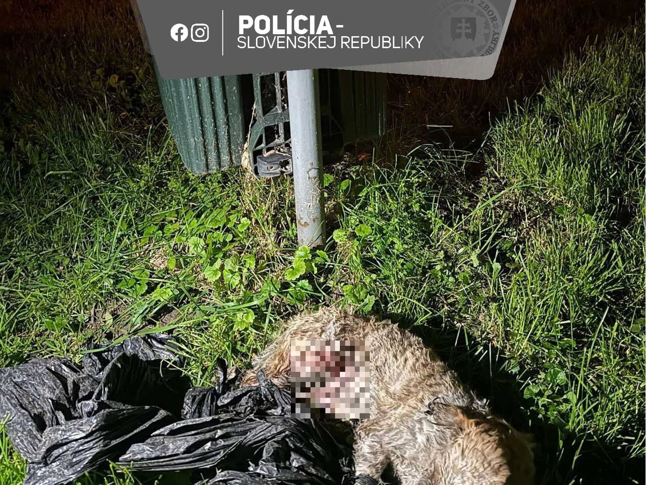 Ilustračný obrázok